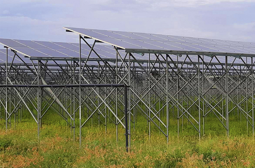 SOLAR FARM