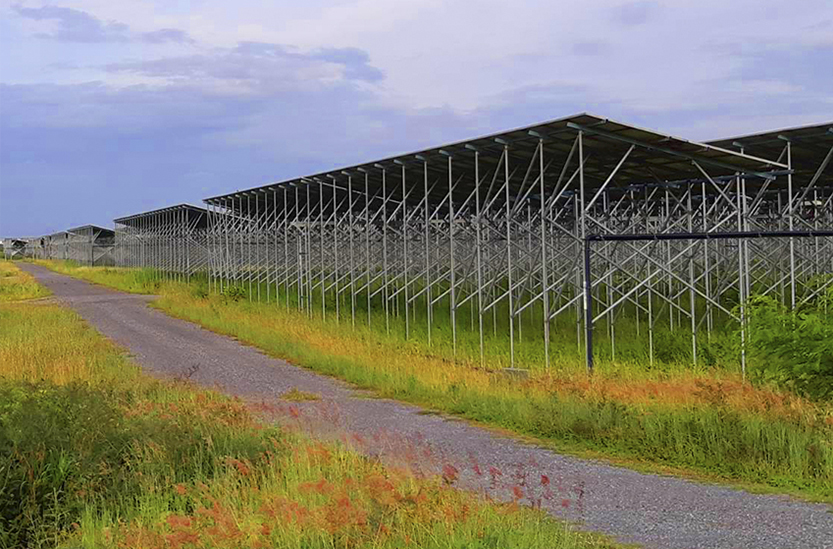 SOLAR FARM